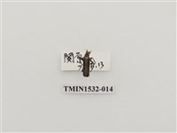 藏品(菊虎科)的圖片